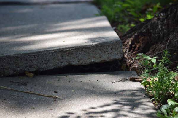 Sidewalk Leveling in Casper